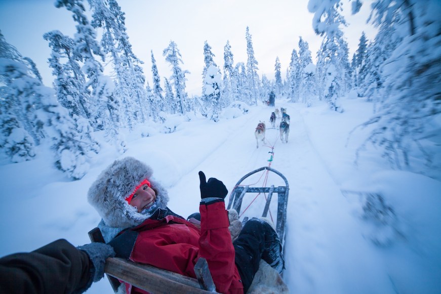 muonio laponia safari trineo huskies viaje con niños